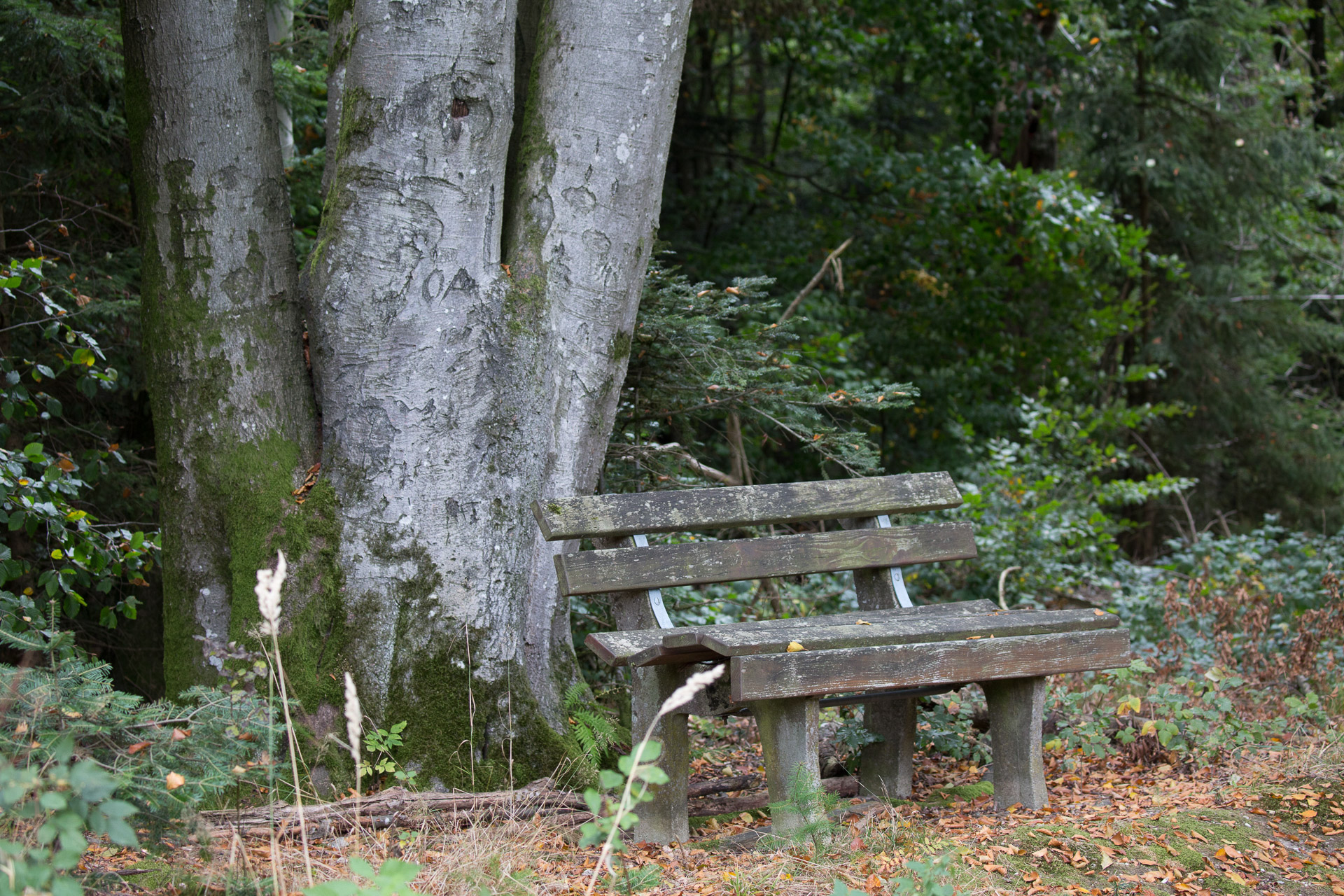 20231014100720 3K6A2132